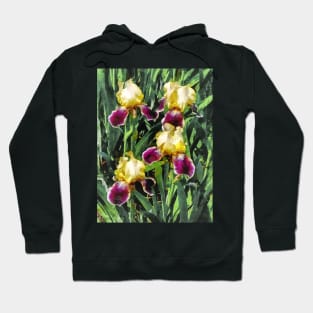 Vingolf Irises Hoodie